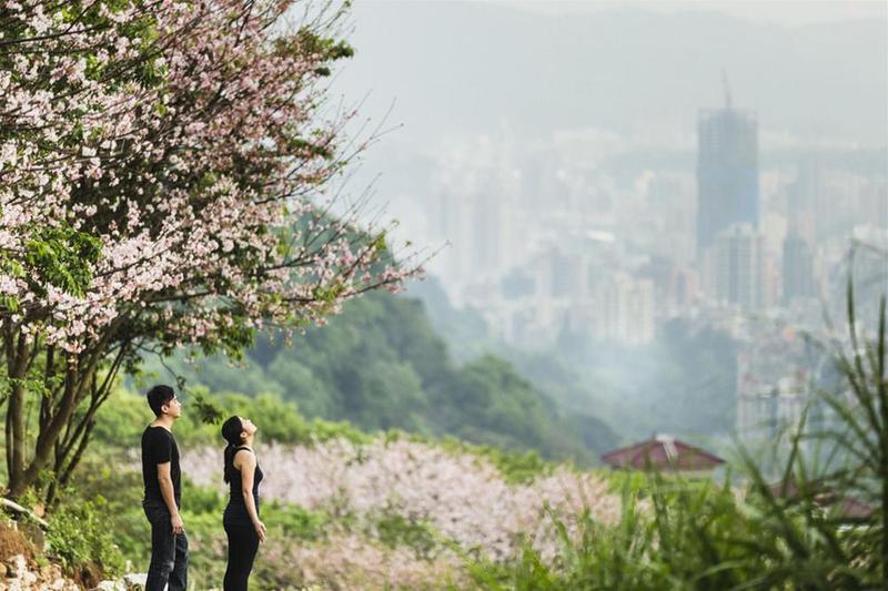 Royal Beitou Khách sạn 5*