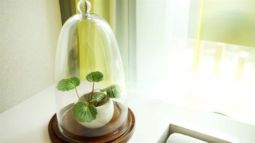 Khách sạn Royal Beitou 5*